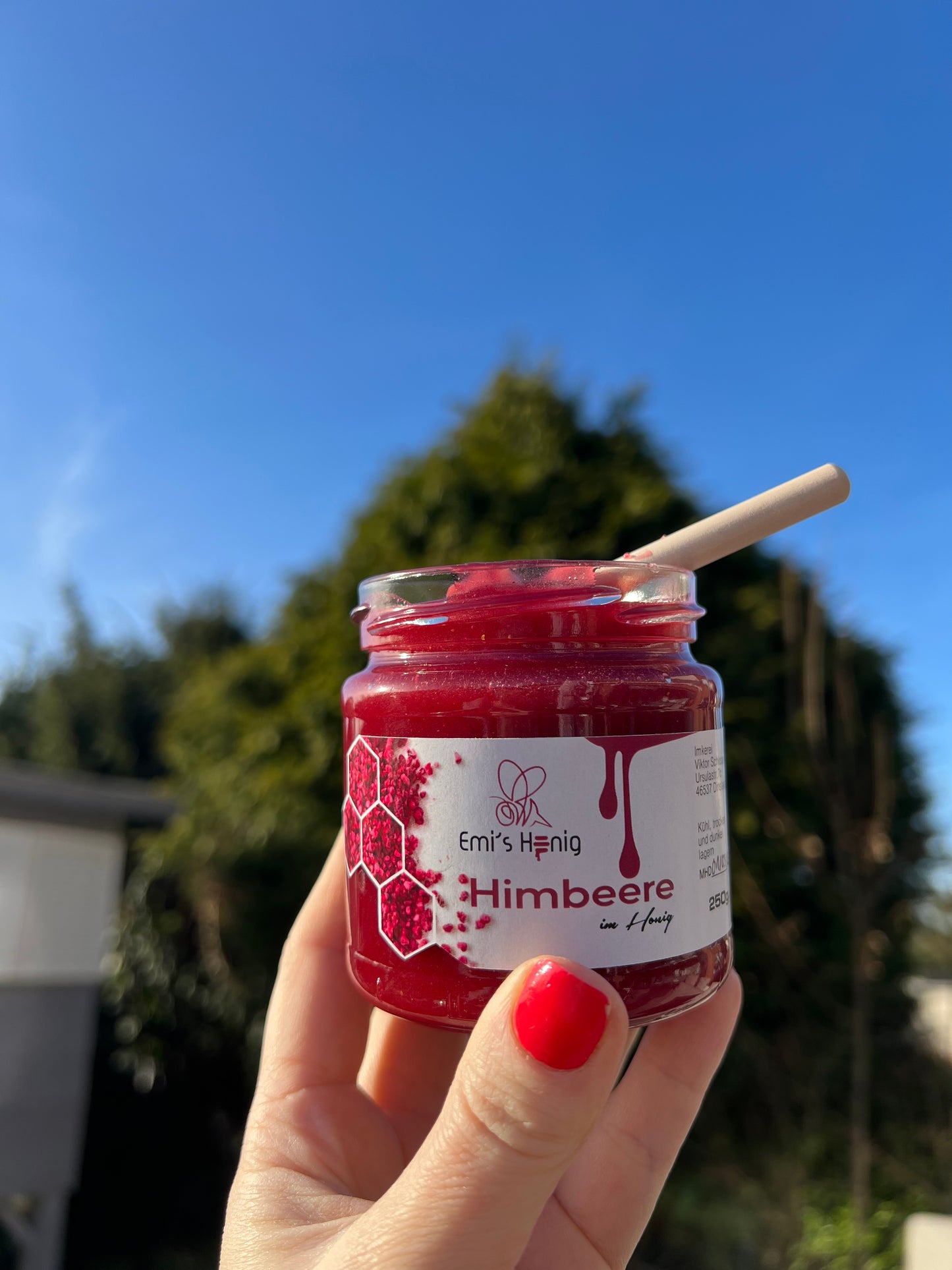 Himbeere im Honig
